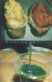 衡水加力潤滑油 零售市場的品質(zhì)守護(hù)者